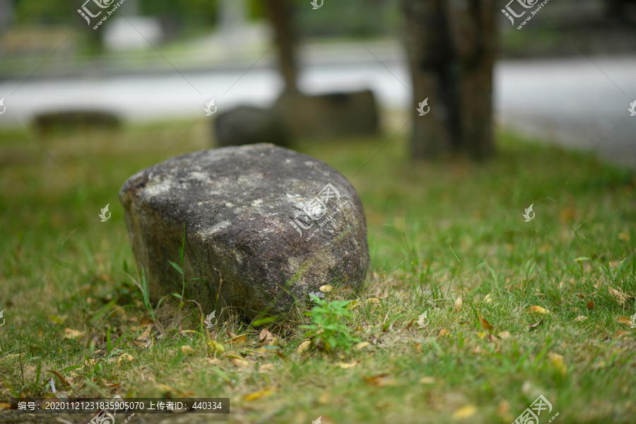 草丛中的大石头