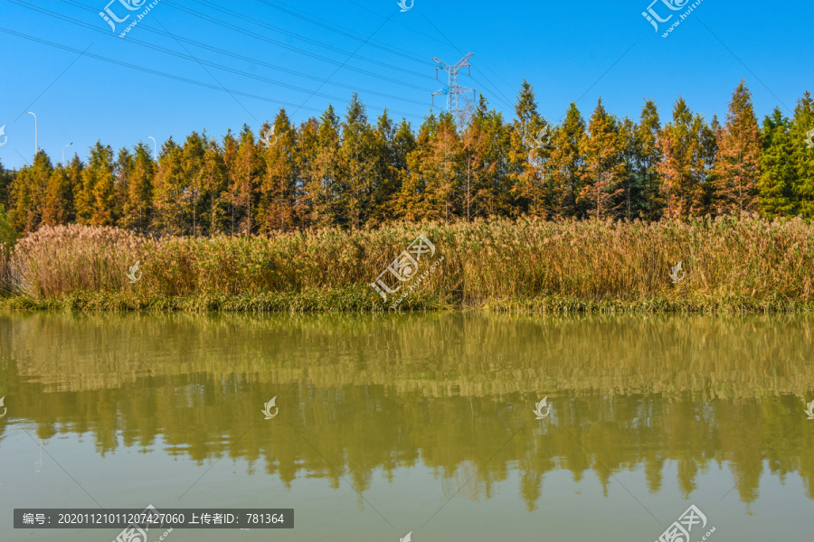 湿地秋景