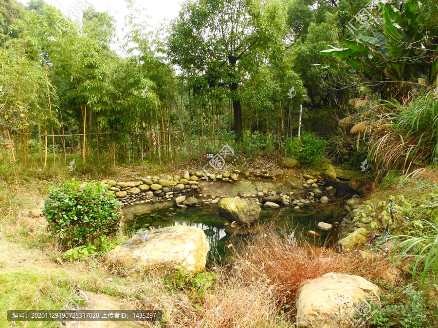 天花井森林公园水池