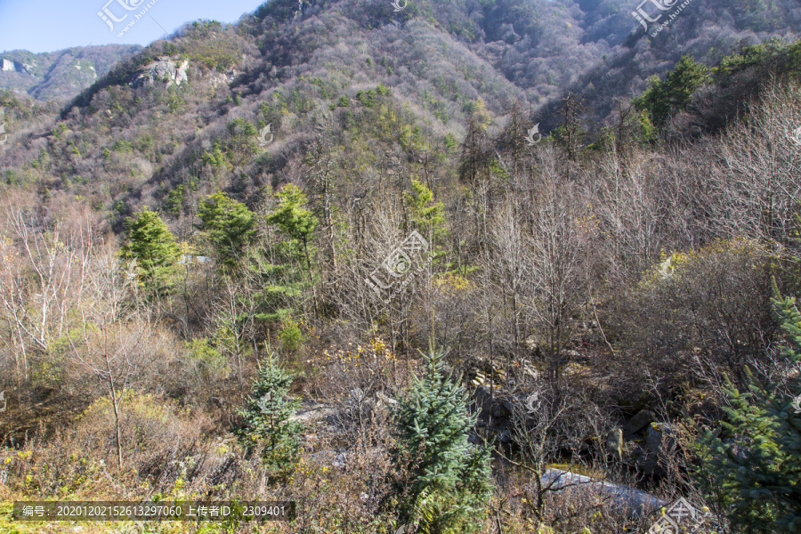 秦岭山秋景