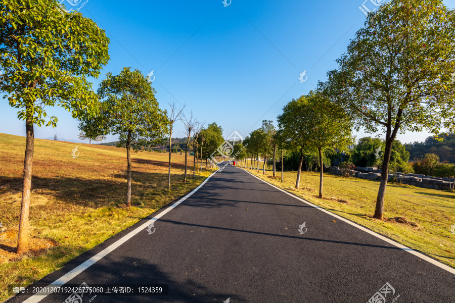 柏油路