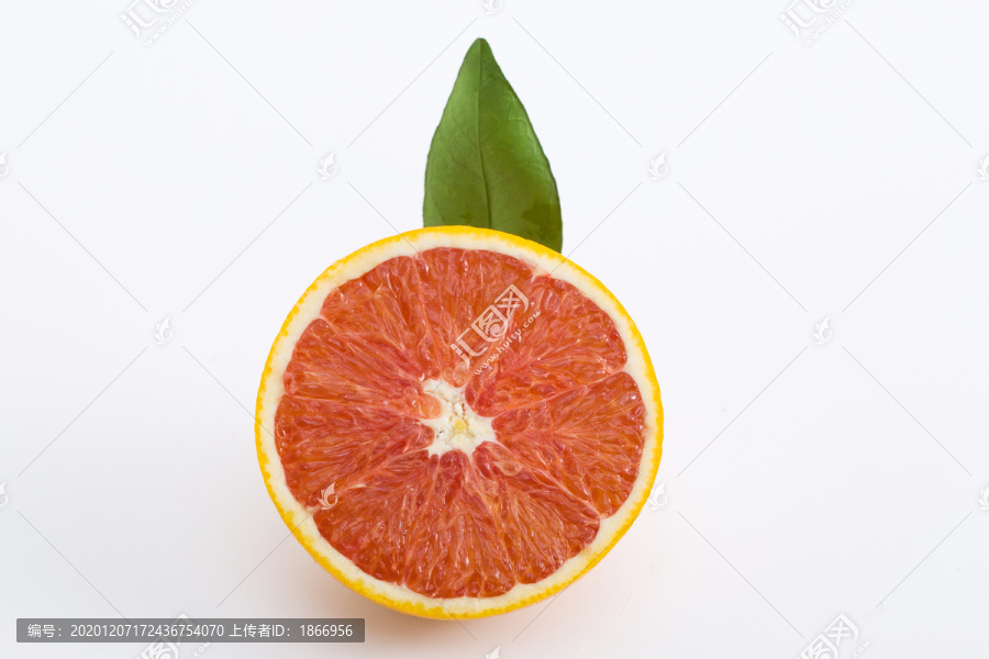 血脐橙