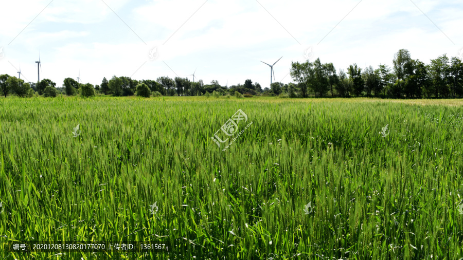 绿色农业