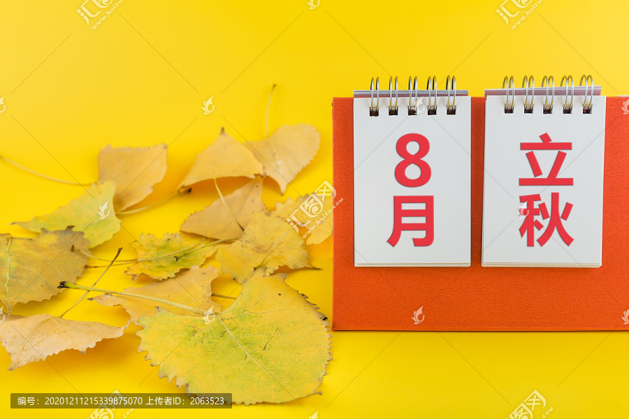 日历和树叶二十四节气立秋节气