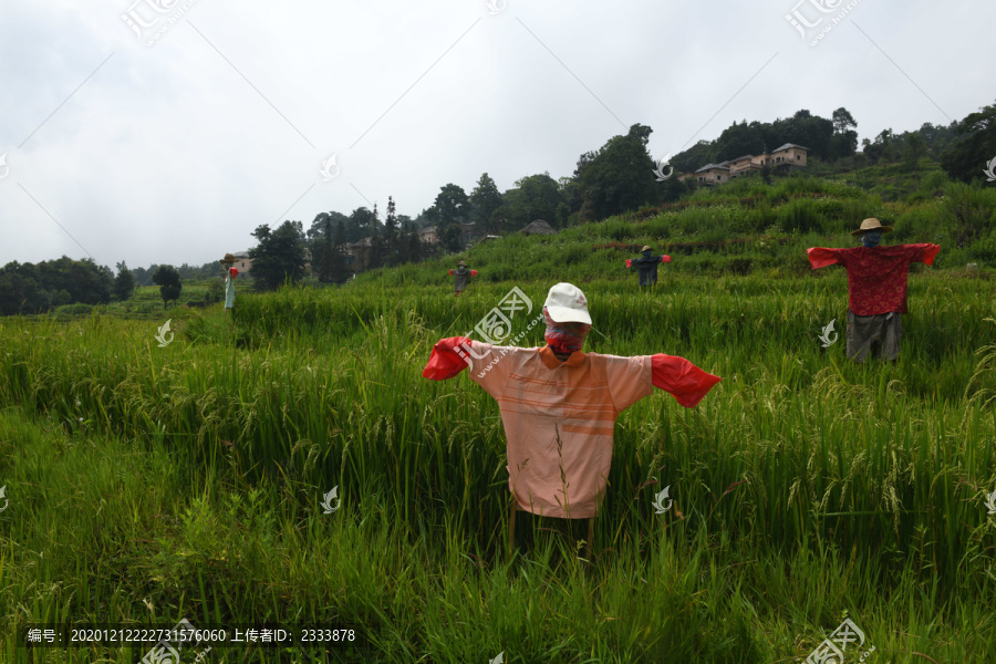 稻草人