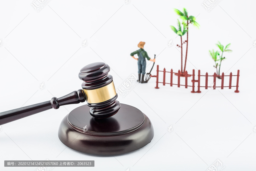 土地管理法主题插图