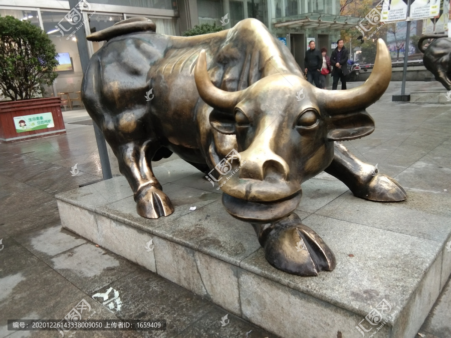 金牛