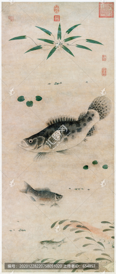 张中鱼藻图