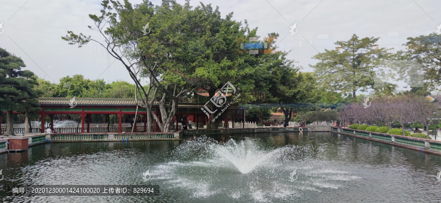 宝墨园风景