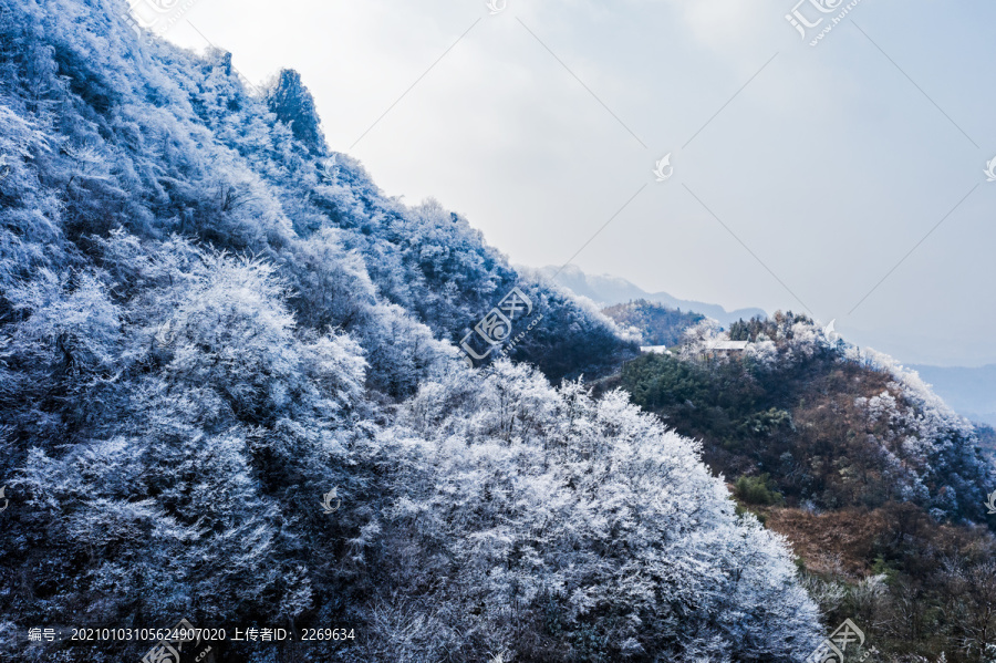 冬季雪景