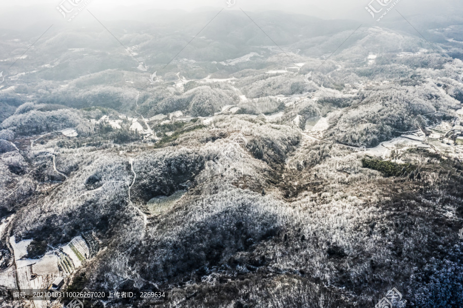 冬季雪景