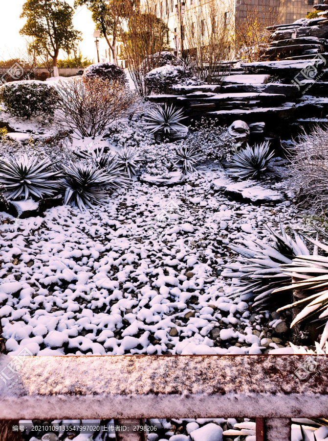落满白雪的雨水花园