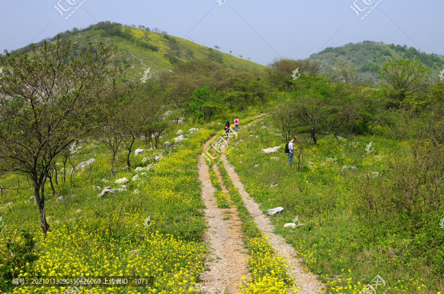 山岗春行