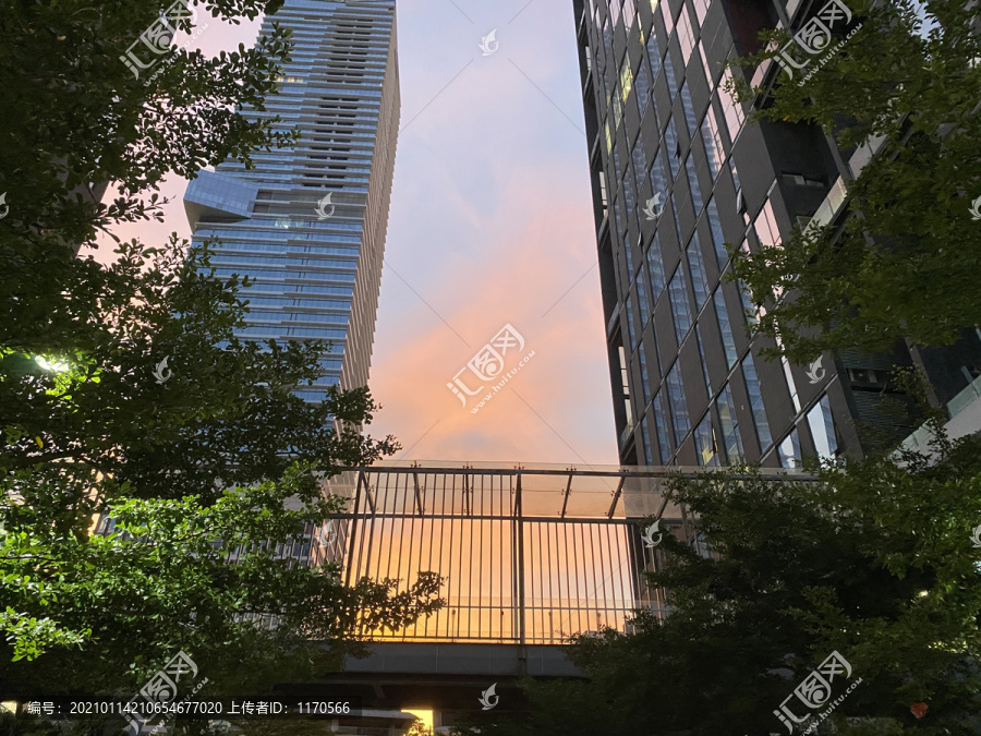 深圳都市火烧云楼桥风景