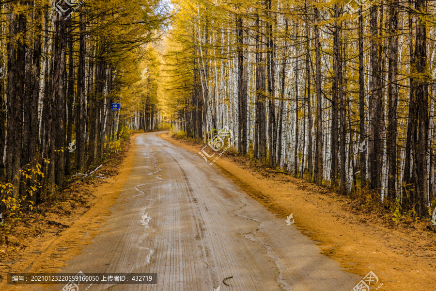 秋季森林道路