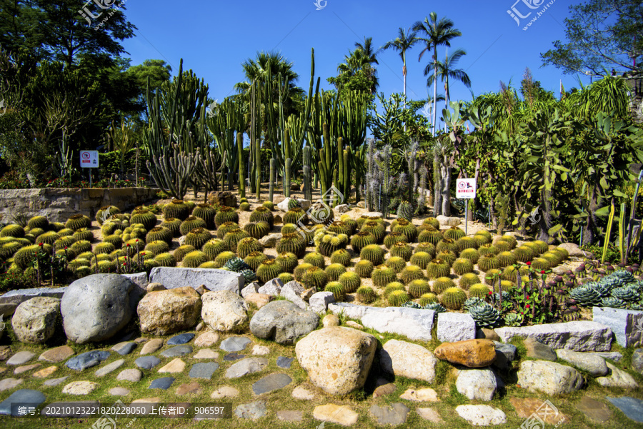 厦门植物园