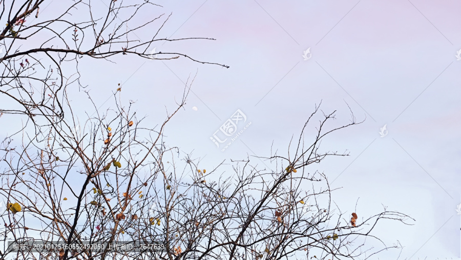 晚霞天空