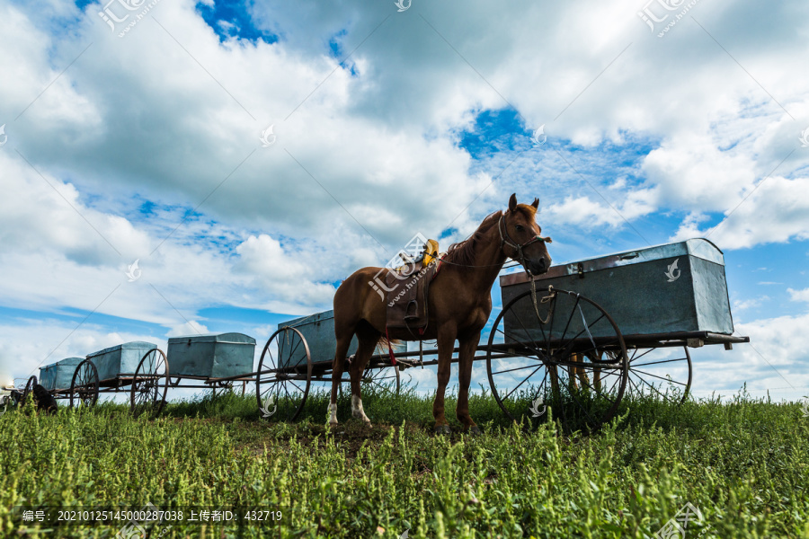 蒙古族勒勒车和马