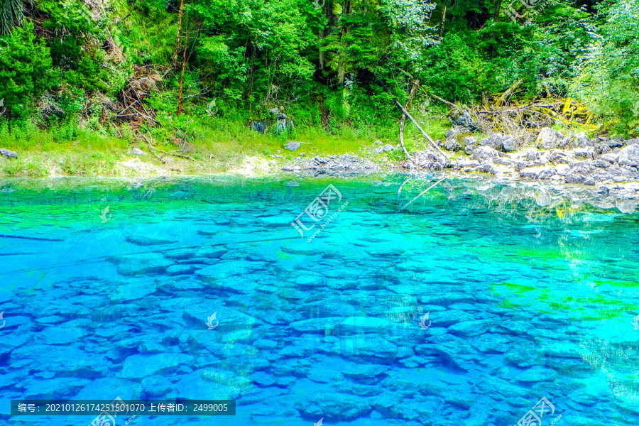 清澈见底的九寨沟湖水