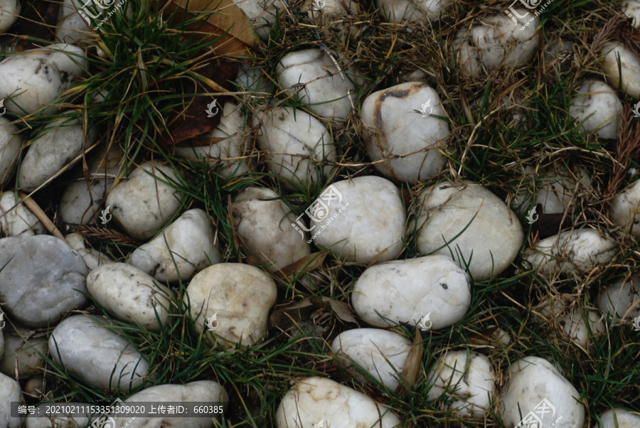 草地上的鹅卵石