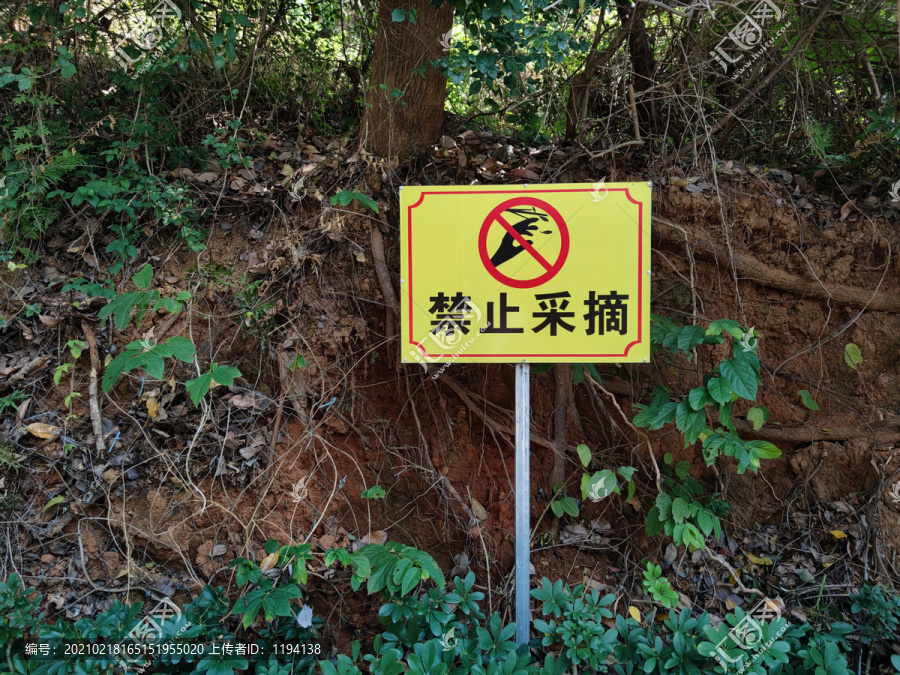 禁止采摘警示牌