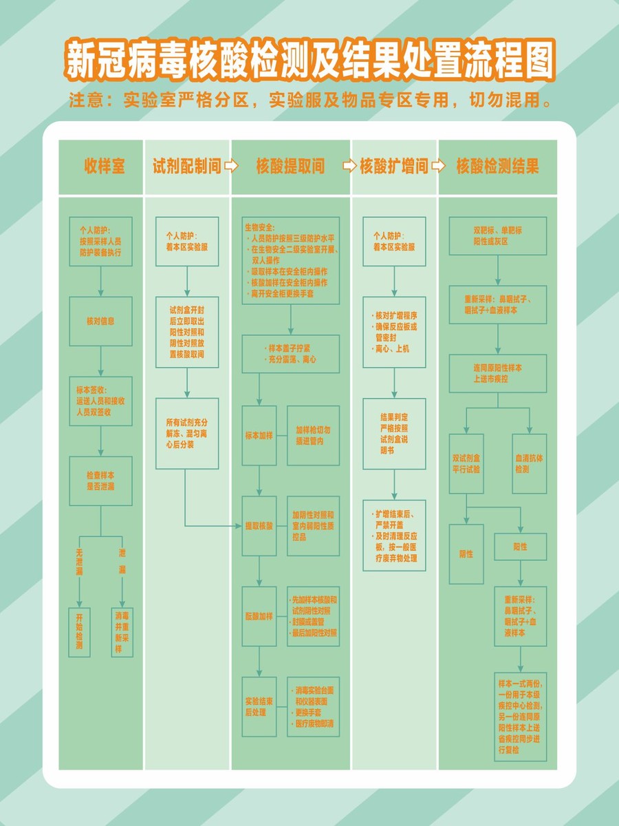 核酸检测流程图