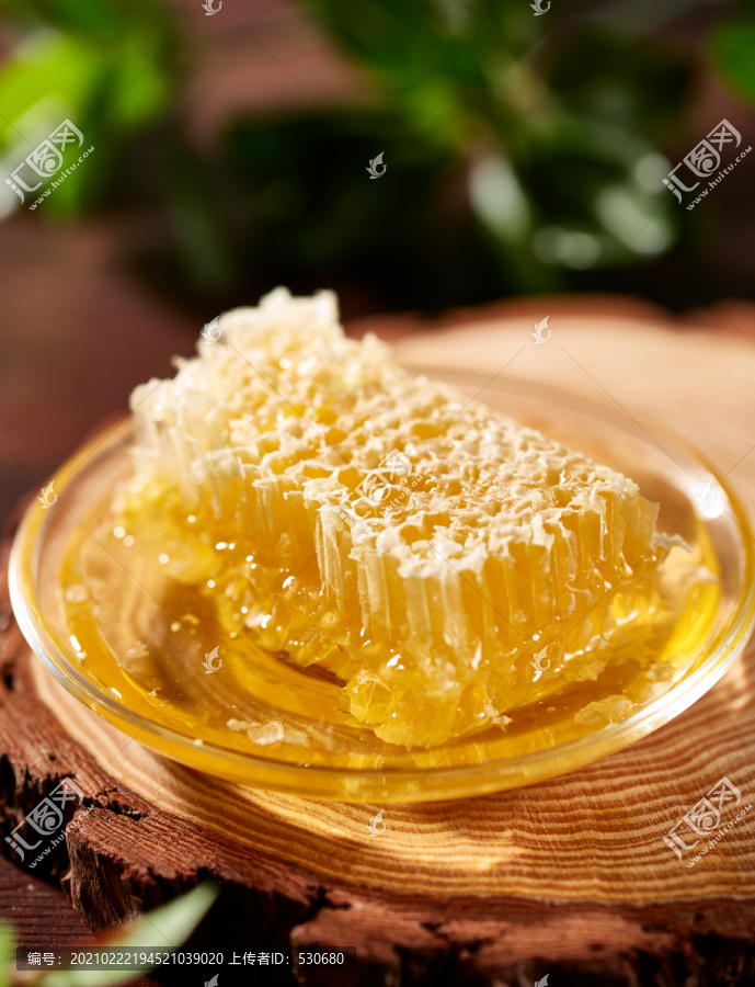 蜂胶蜂巢蜜图片素材
