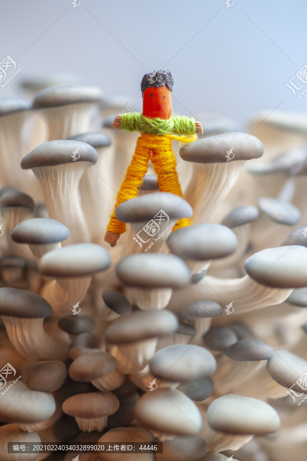 蘑菇童话世界中的迷你小人
