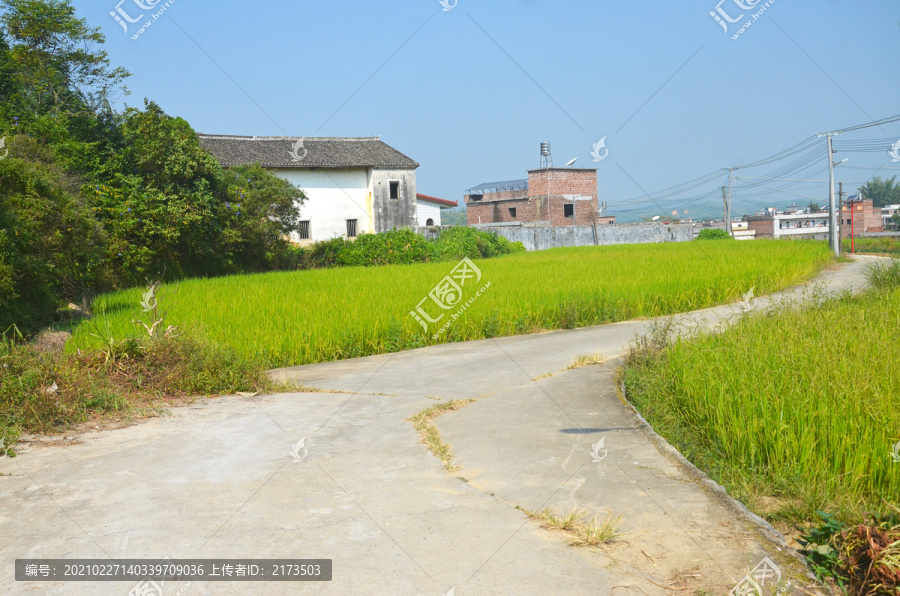 乡村道路