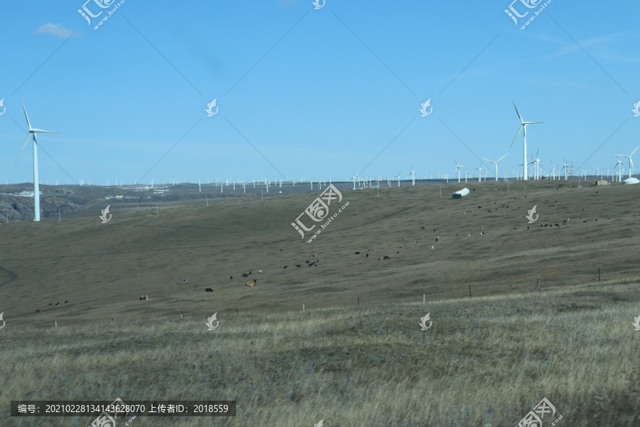 秋天的内蒙古草原