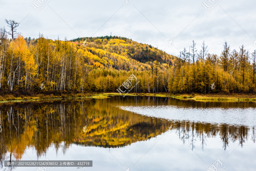 秋季金色山林平静湖水