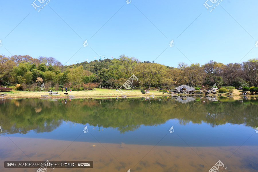 武汉东湖樱花园