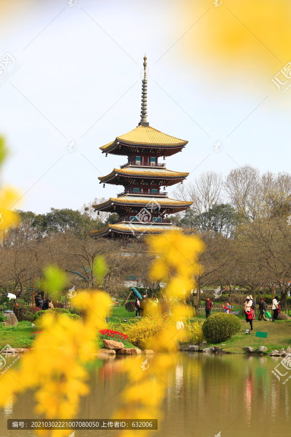 武汉东湖樱花园