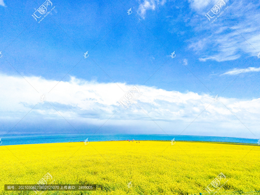 青海湖风光