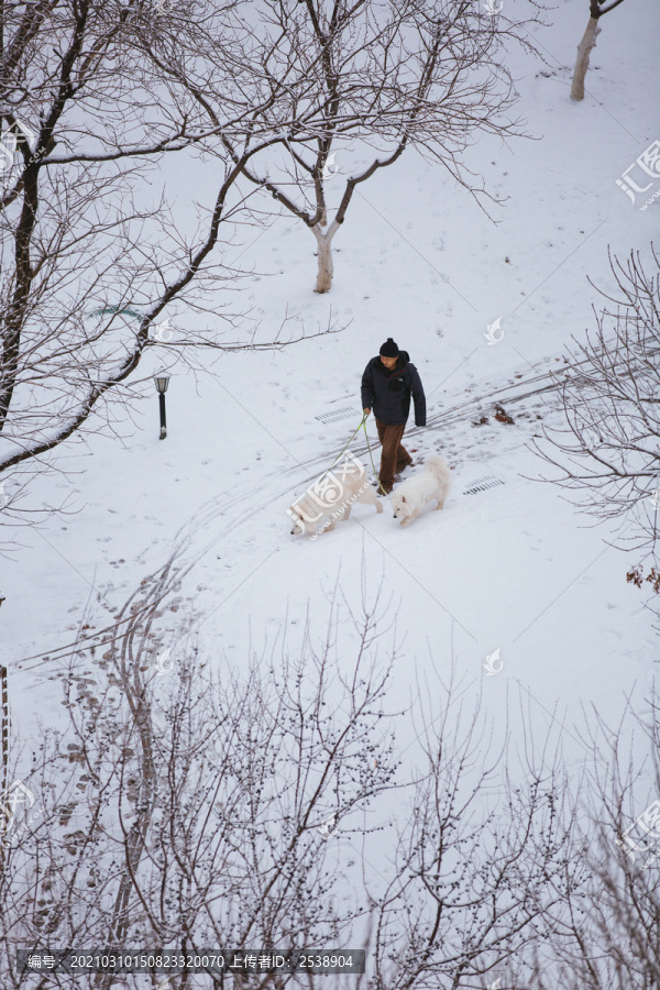 雪