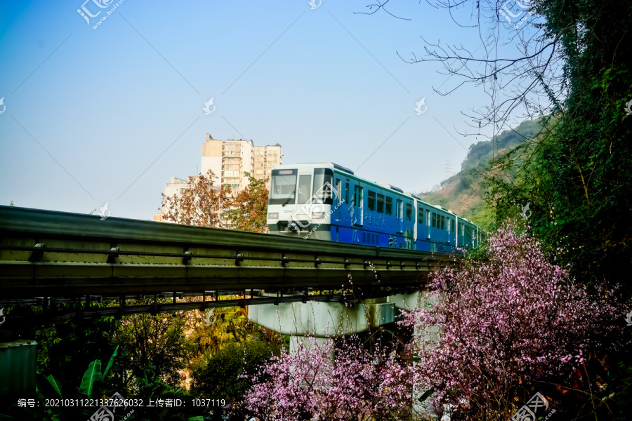 重庆单轨列车