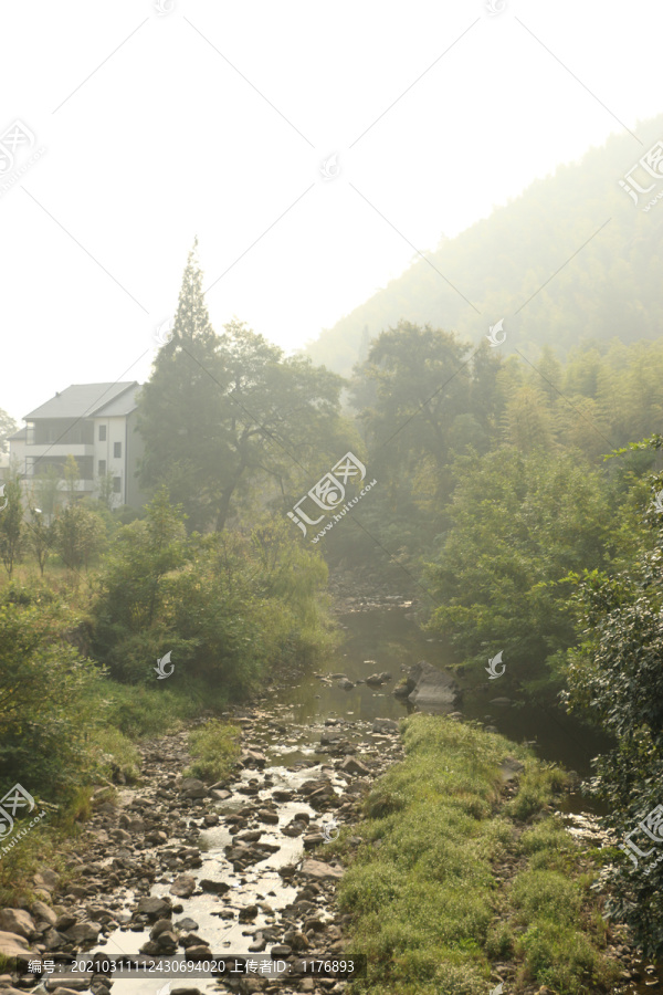 朦胧晨光中的山村小溪