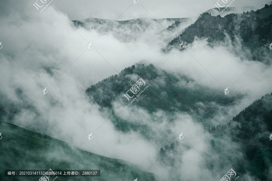 中国新疆天山浓雾密林自然风光