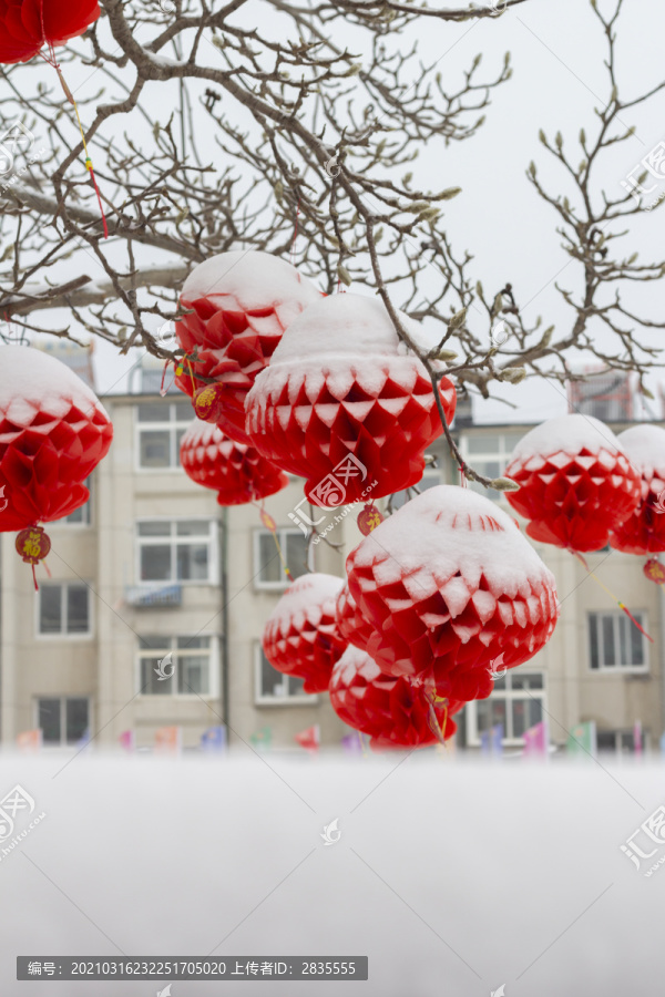 盖着雪被的红灯笼