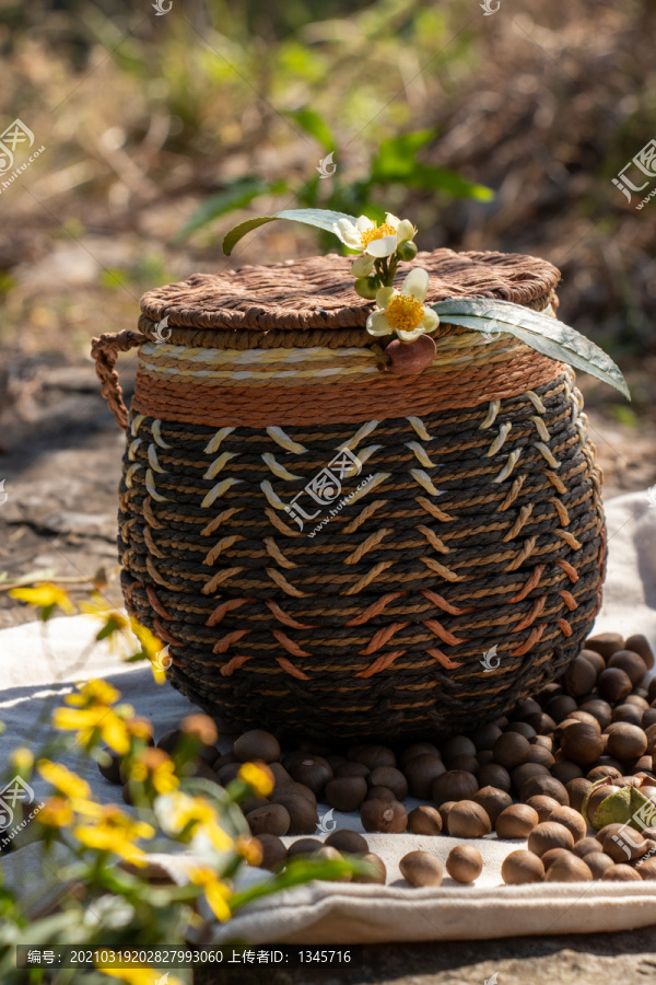 茶树茶花茶籽