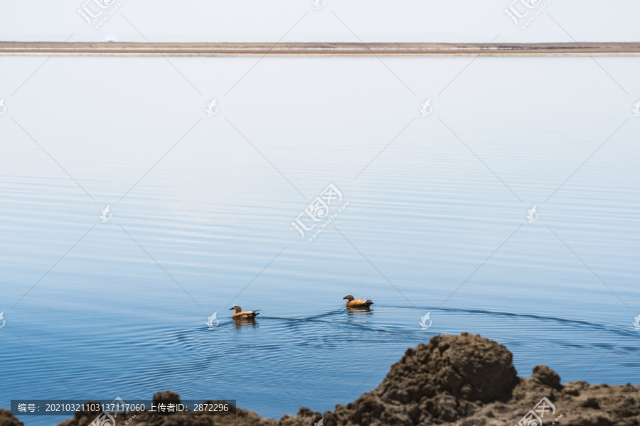 中国西部青海高原湖泊自然风光