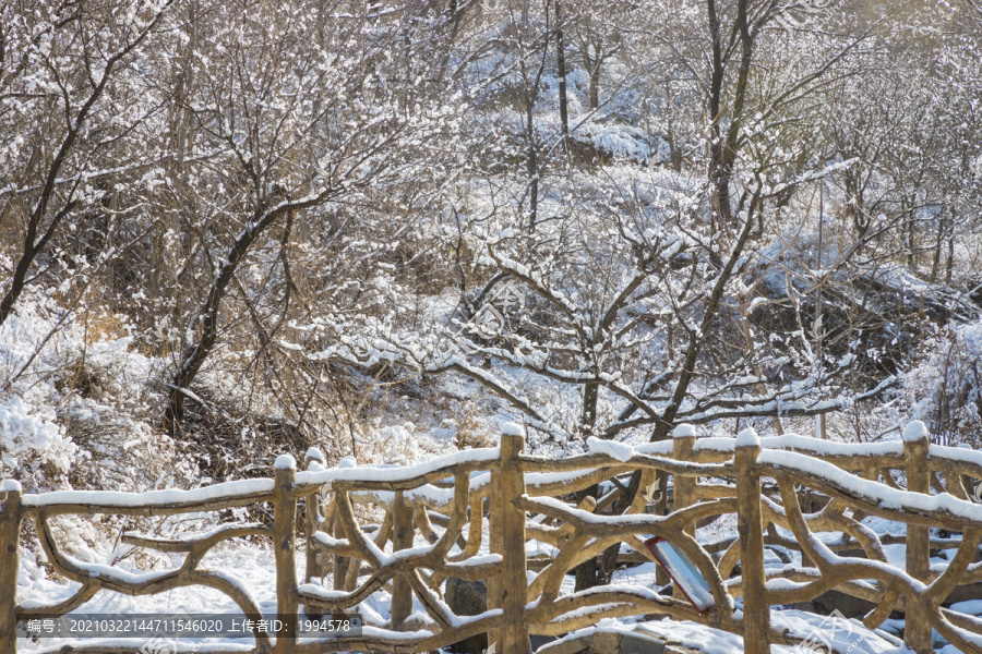 雪景