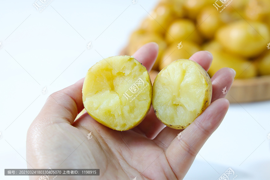 黄皮黄心小土豆