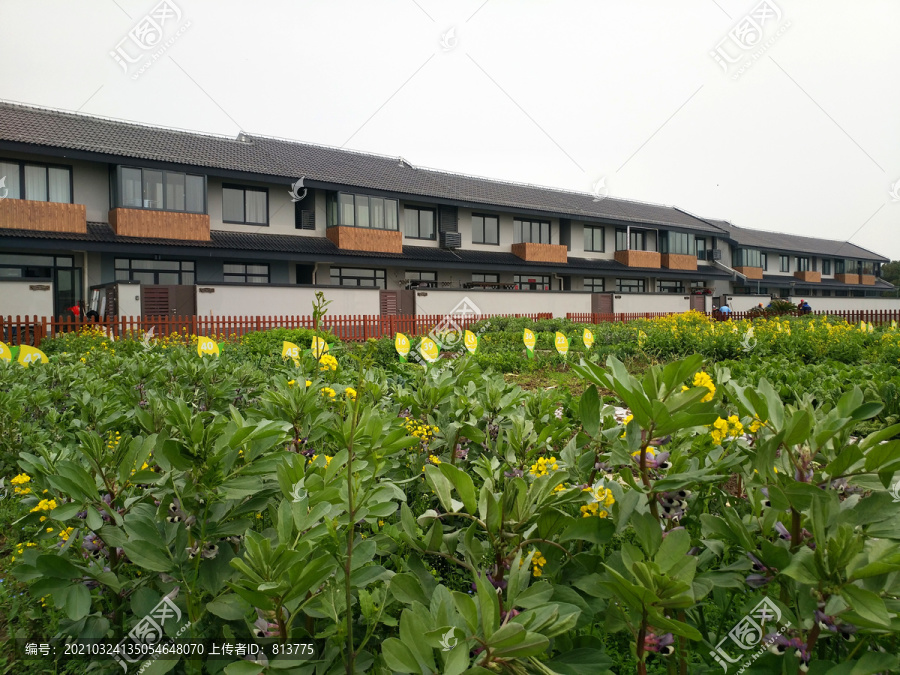 乡村农家居住点