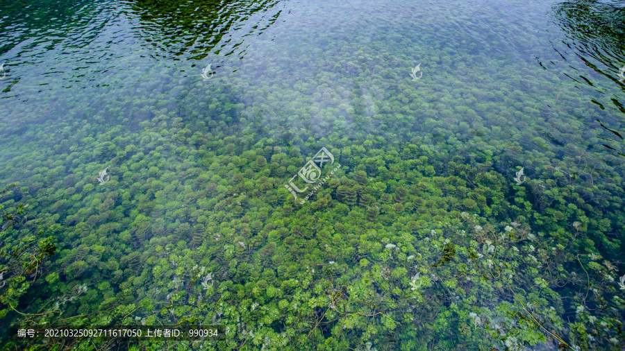 流水