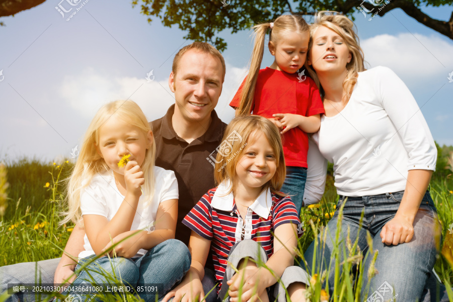 快乐的家庭，孩子们坐在草地上，蒲公英在夏日的阳光下
