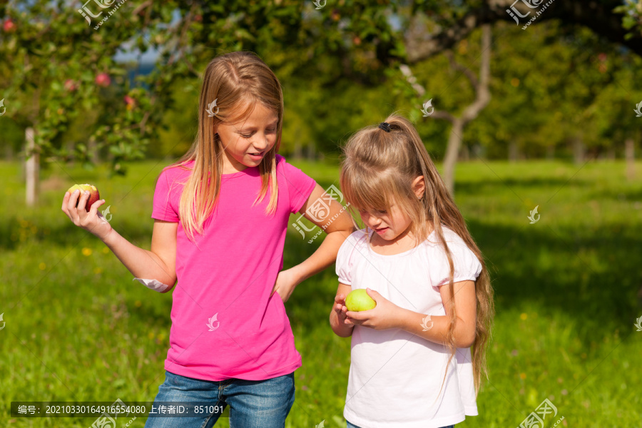 在阳光明媚的日子里，孩子们在花园里吃苹果