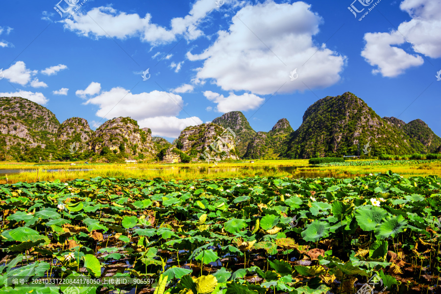 三生三世十里桃花