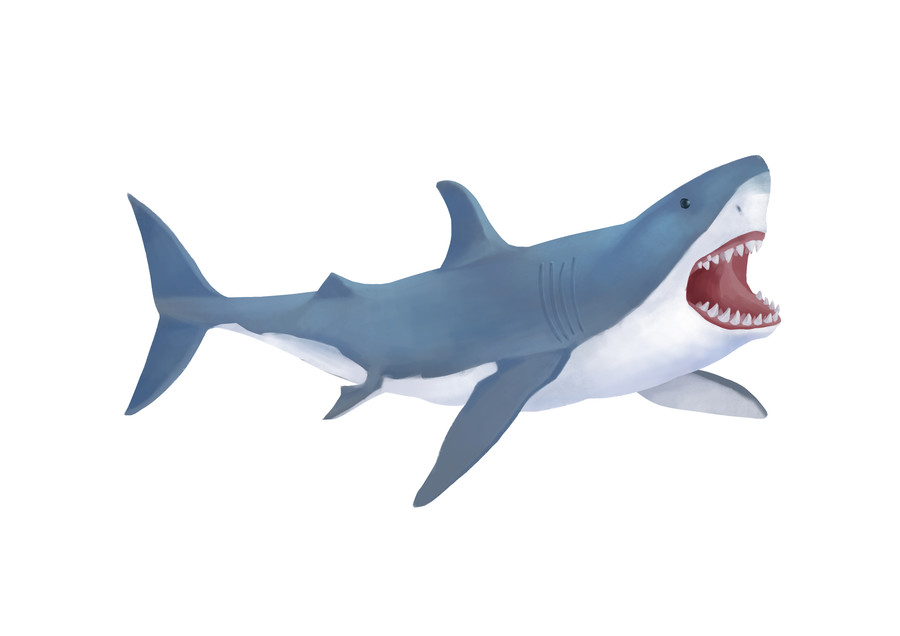 小清新写实卡通深海生物噬人鲨