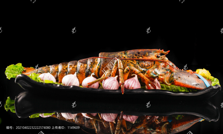 生鲜澳洲大龙虾